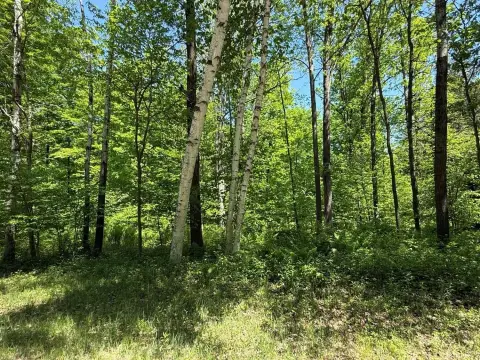Two-Acre Wooded Residential Lot