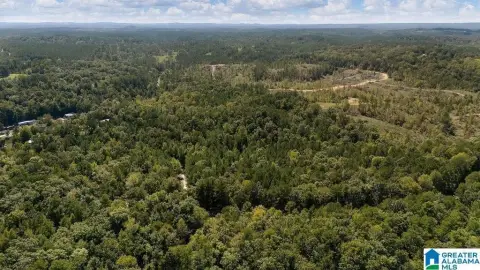 Wooded Recreation Land Near Lay Lake