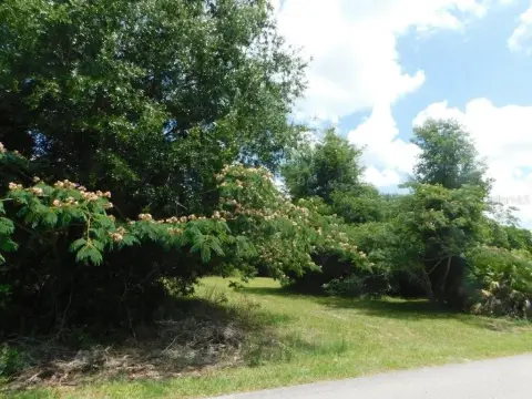 Buildable Lot Near Downtown Ocala