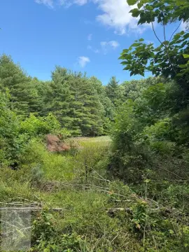 Recreational Land with Shared Access
