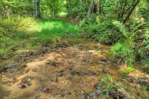Creek-Front Land