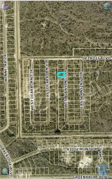 Wooded Lot in Alva, FL