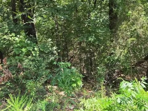 Land Near Lake Tenkiller