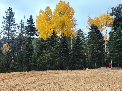 Land Near Dixie National Forest
