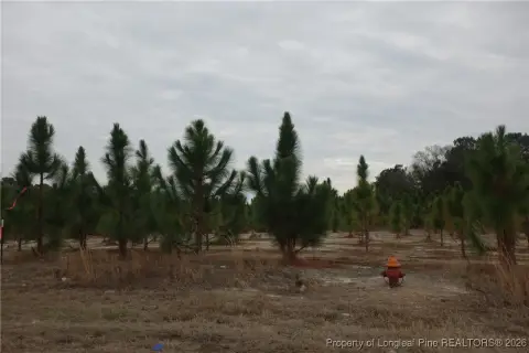 Residential Land in Fairmont, NC