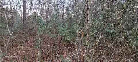 Fayetteville Land For Sale