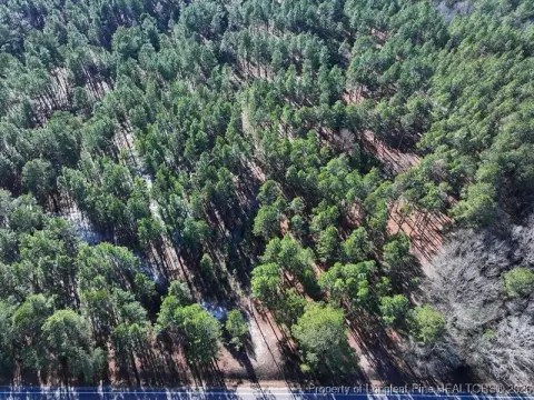 Heavily Wooded Land For Sale