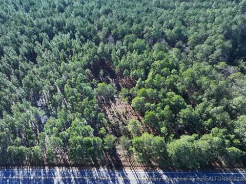 Heavily Wooded Land For Sale