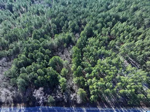 Heavily Wooded Land For Sale