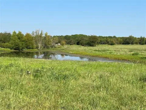 49.5 Acres of Hunting Land