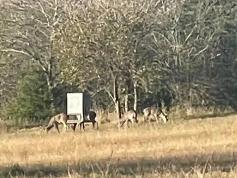 Delta County Hunting and Recreational Land