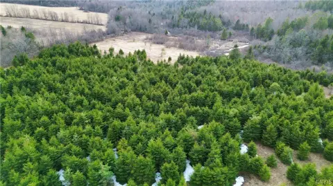 Picturesque Land in Upstate New York