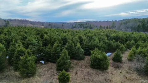 Scenic Land Parcel in Little Falls