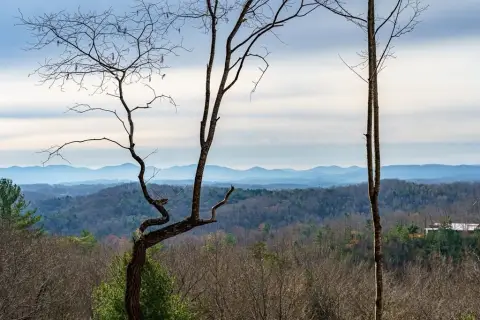 Blue Ridge Homesite with Views