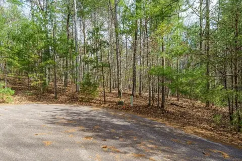 Morganton, GA Vacant Lot