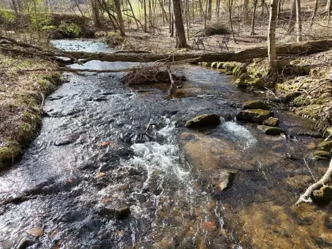 Blairsville Land with Creek