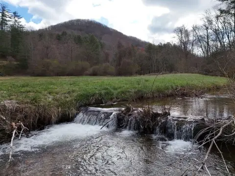 Blairsville Land with Creek Frontage