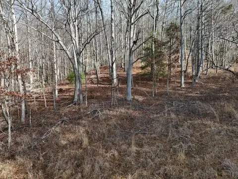 Blairsville Vacant Land with View