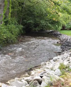 RV Lot on Creek Bank