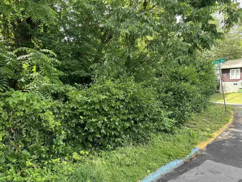 Residential Land in Greenmont Area