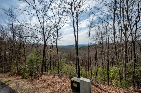 Ellijay, GA Vacant Lot
