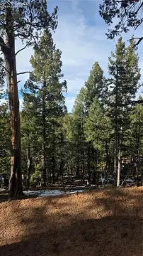 Land Near Downtown Woodland Park