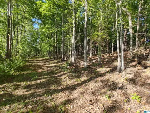 Residential Lot in Sylacauga, AL