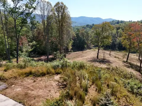 Farm with Creek and Pastures