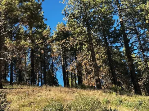 Mountain Land Lot in Running Springs