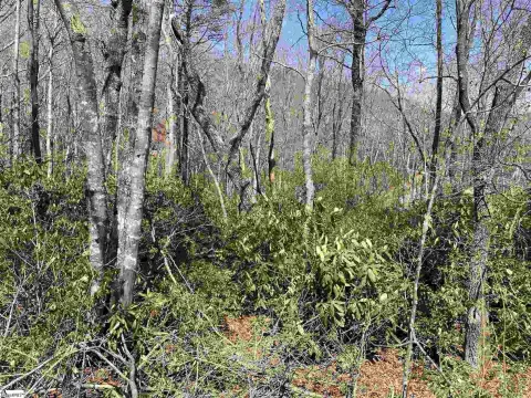 Landrum, SC Residential Lot