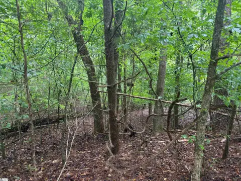 Land For Sale, Abbeville SC