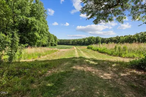 Rural Farmland Tract with Creek Backing