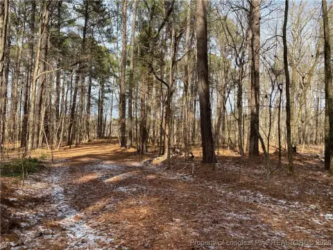 Wooded Lot in Equestrian Community