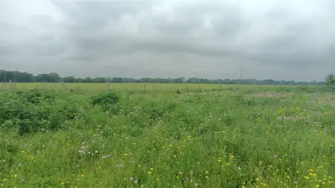 Agricultural Land with Hwy Frontage