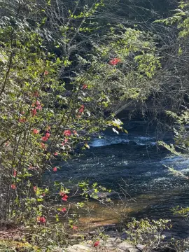 Buildable Riverfront Lot in Dahlonega