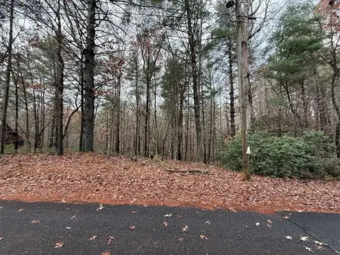 Ellijay Vacant Lot in Buckhorn