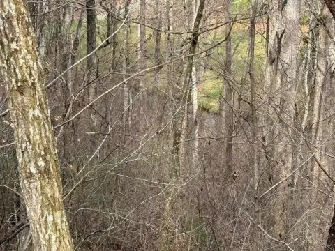 Hiawassee Creek Front Vacant Lot