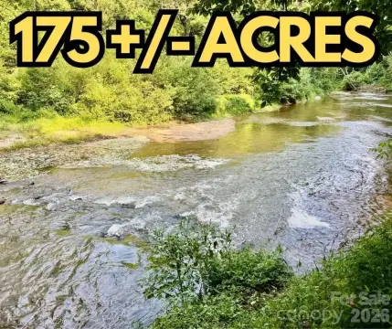Wooded Waterfront Hunting Tract
