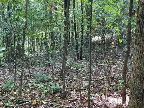 Wooded Mountain Community Lot