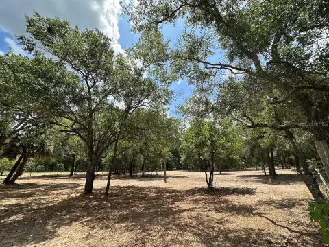 Fenced & Gated Estate Acreage