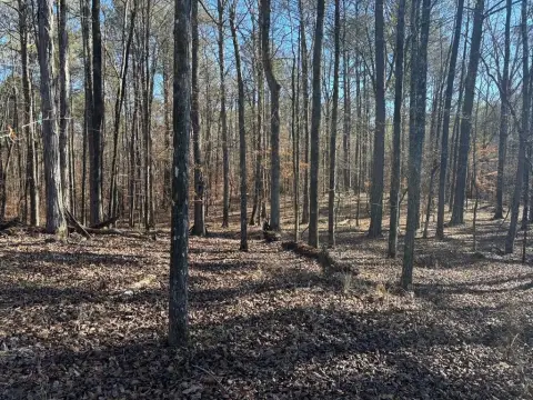 Talbotton, GA Land For Sale