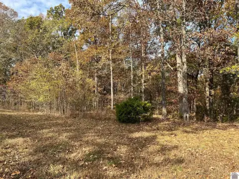 Residential Lot in Kentucky Lake
