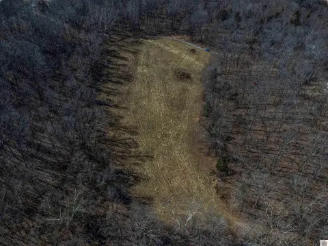 Lake Barkley Land with Views