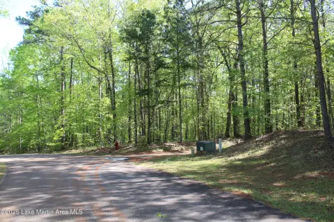 StillWaters Development Opportunity: 10 Acres