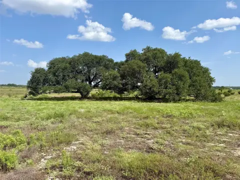 Rural Homesite with Live Oaks
