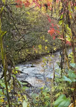 Deeded Waterfront Land Lot