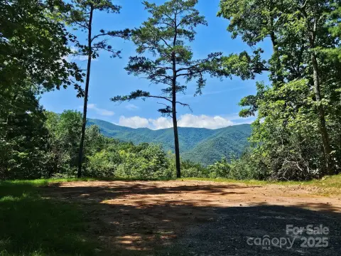 Canton, NC Land with Views
