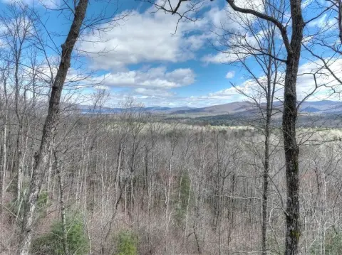 Ellijay, GA - Mountain View Homesite