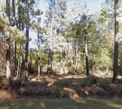 Unrestricted Land in Picayune, MS