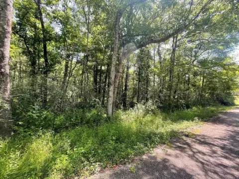 Wooded Lot in Established Area